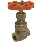 VALV COMP ROSC 200LBS F-83 13MM