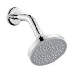 REGADERA DE CEBOLLA C/BRAZO Y CH   F-3031B