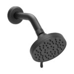 REGADERA CEBOLLA FUNCIONES C/BRAZO NEGRO MATE F-3031FB.2